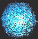 Молекулярна структура віруса грипу