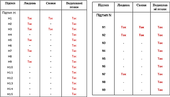 Можливі підтипи гемаглютинінів (Н) і нейрамінідаз (N) у різних видів
